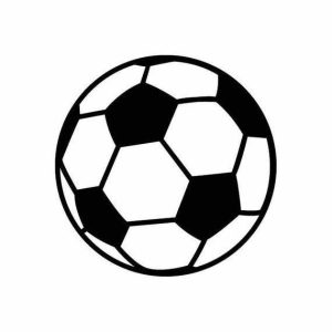 Pelota